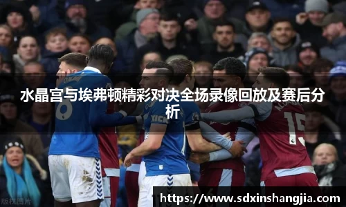水晶宫与埃弗顿精彩对决全场录像回放及赛后分析